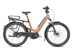 MOUSTACHE MARDI 27.6 FS SUSPENDU